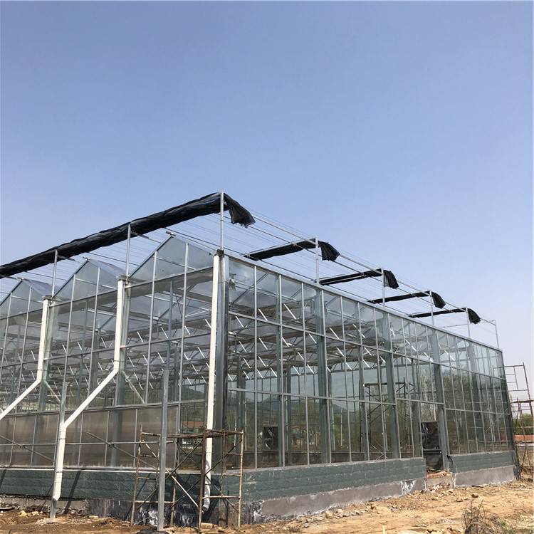 温室无土栽培大棚 玻璃温室大棚遮阳系统 自动通风系统温室