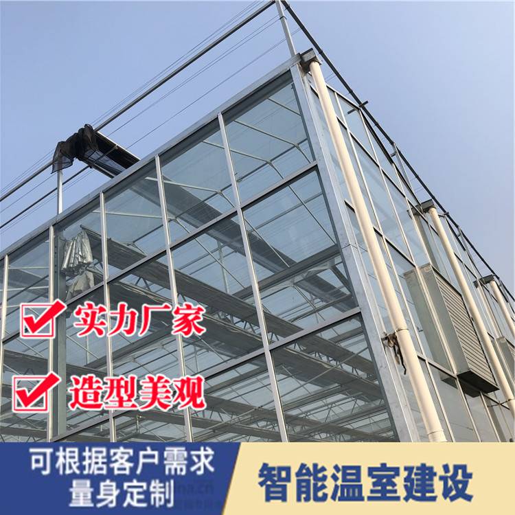 温室大棚温室玻璃大棚 沈阳玻璃温室 智能玻璃拱形温室大棚造价