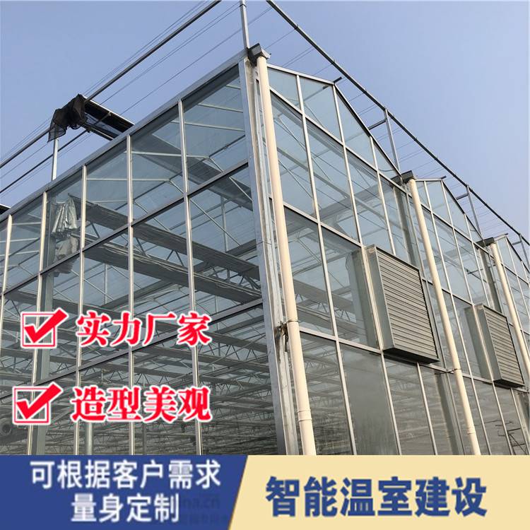 温室大棚温室玻璃大棚 玻璃温室公司 玻璃温室大棚建造成本
