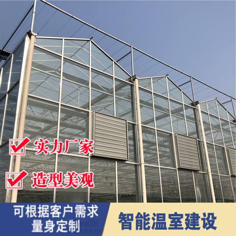 温室大棚温室玻璃大棚 玻璃温室公司 玻璃连栋温室大棚结构