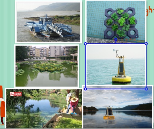 邯郸河道坑塘水质提升，邯郸蓝绿藻抑制剂生产咨询
