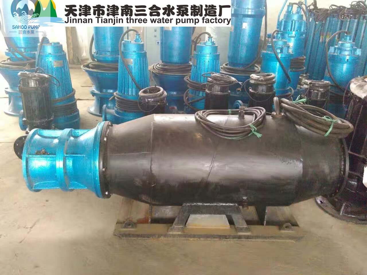 杭州雪橇式轴流泵生产厂家