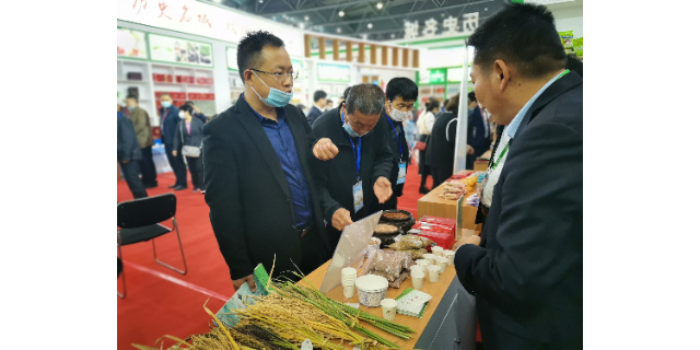 安庆好吃的三色米厂子有哪些 推荐咨询 宇顺高科种业供应