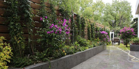 六合区室内绿植花卉修剪哪家便宜 南京康之蕊园艺供应