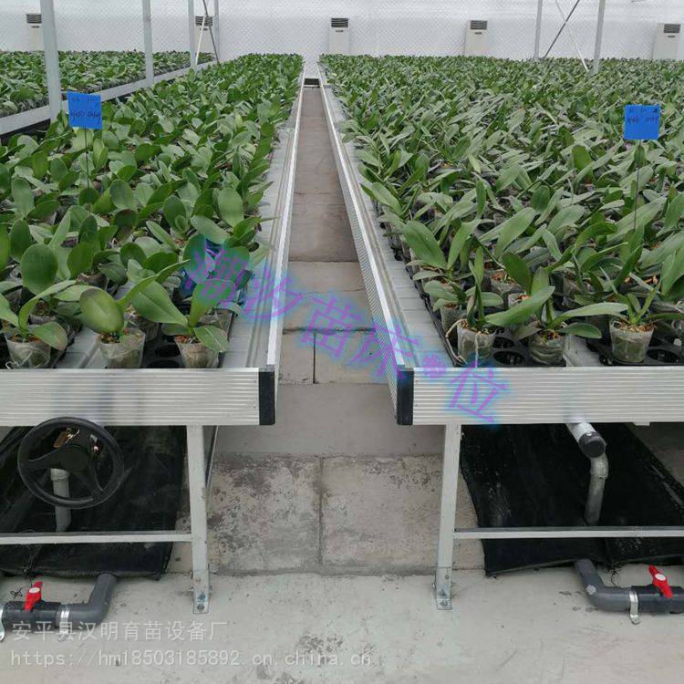 温室花卉基地潮汐苗床灌溉方式汉明育苗设备厂制作