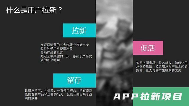 海南一站式APP拉新联系方式 欢迎咨询 湘潭臻钬信息供应
