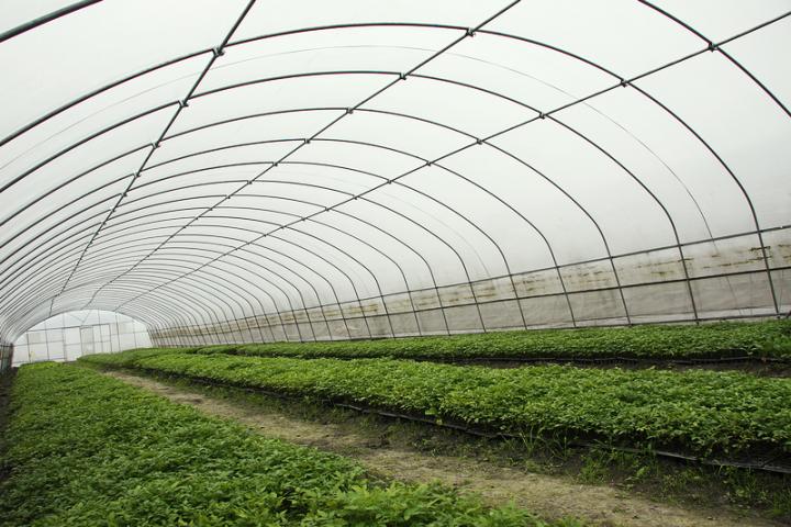 达州温室蔬菜大棚管生产厂家 耐热抗压强