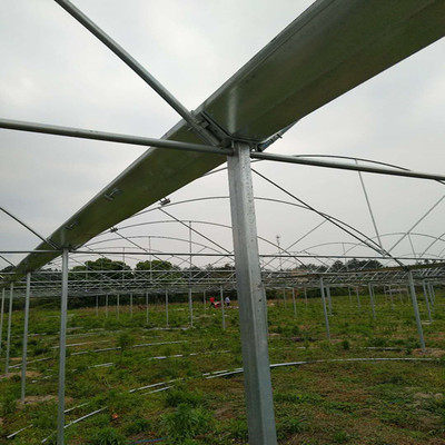 老挝温室蔬菜大棚管厂家批发 耐热抗压强