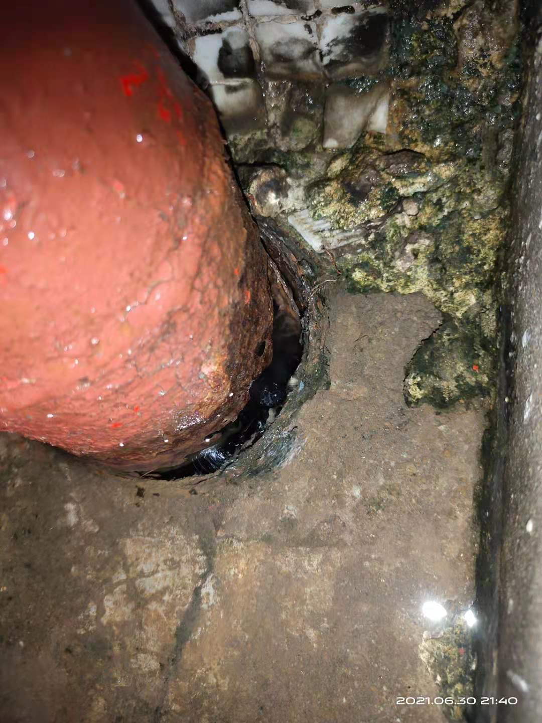 惠州铁管漏水检测，地下PE管网漏水检测抢修服务