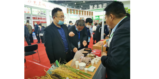 安庆回音谷血糯米厂子有哪些 欢迎来电 宇顺高科种业供应