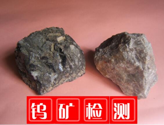 广东汕头钨矿元素含量分析测试