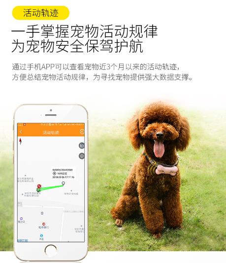阳江GPS定位宠物定位器
