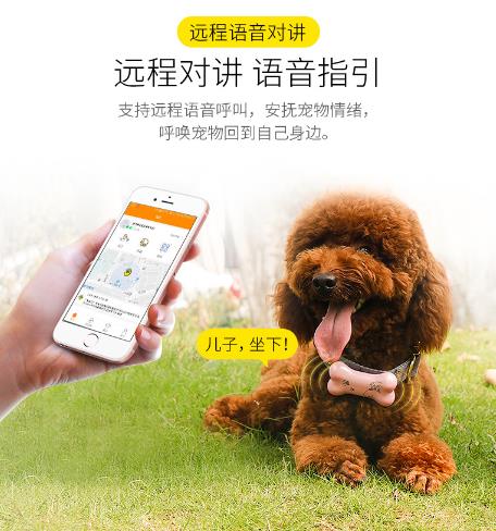 杭州GPS定位宠物定位器