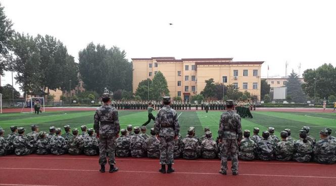 郑州青少年军事化管理教育咨询