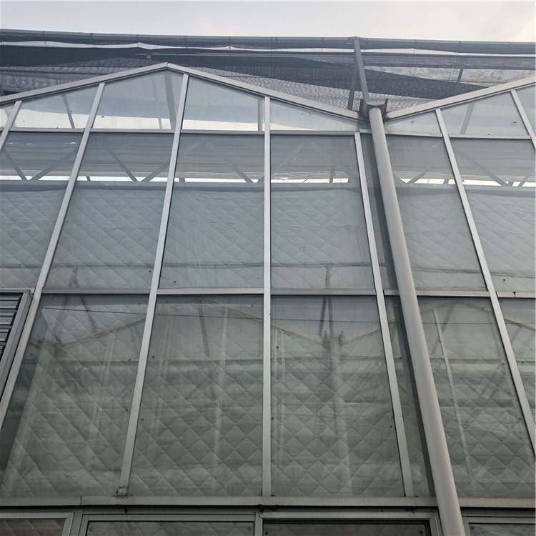 栽培玻璃温室大棚设计 现代农业温室大棚 格润农业建设大棚
