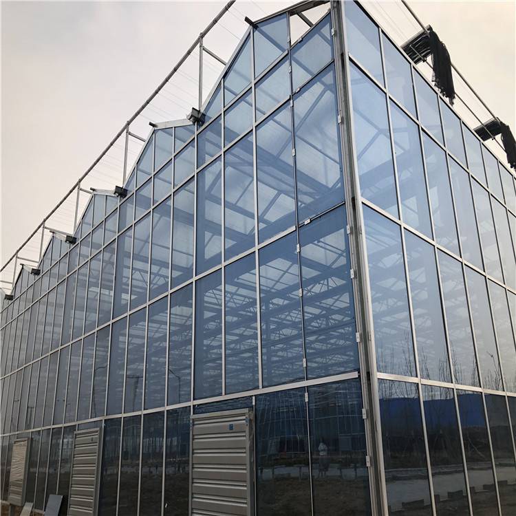 蓝色玻璃温室大棚 四周中空玻璃大棚 建设玻璃温室大棚厂家
