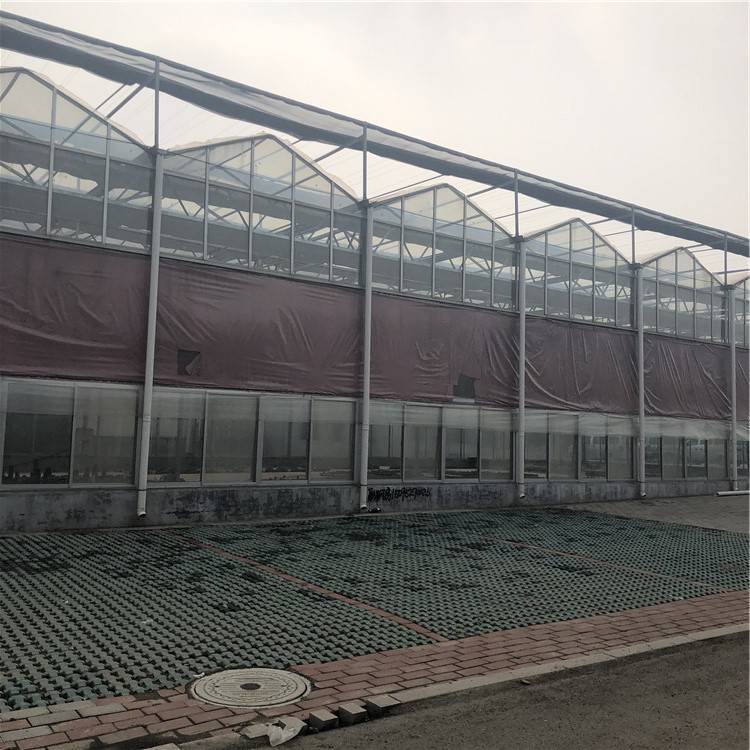 种植玻璃大棚温室厂家 蔬菜玻璃温室 格润温室建设蔬菜智能温室