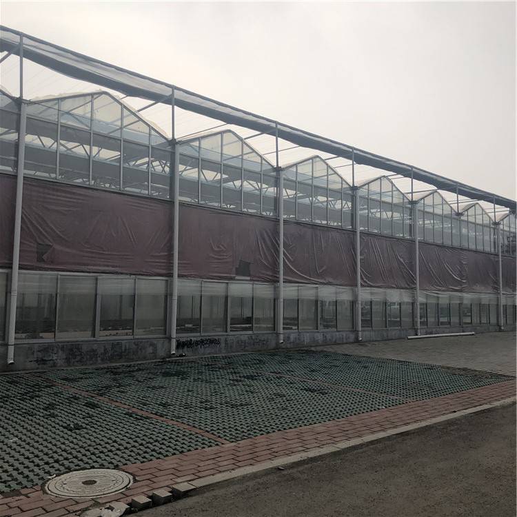 智能温室大棚 花卉蔬菜温室大棚智能化温室 格润连栋玻璃大棚