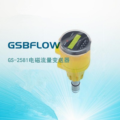 供应GSBFLOW智能型GS-2581-P-22插入式电磁流量计