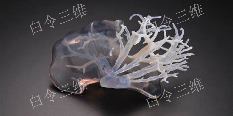 上海3D打印医疗供应商 白令三维 白令三维3D打印公司供应