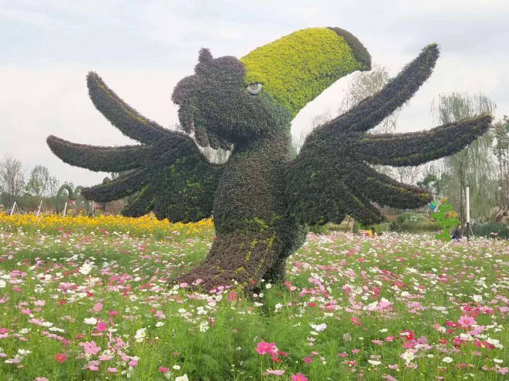 湖南长沙真植物绿雕价格 汽车摆件雕塑