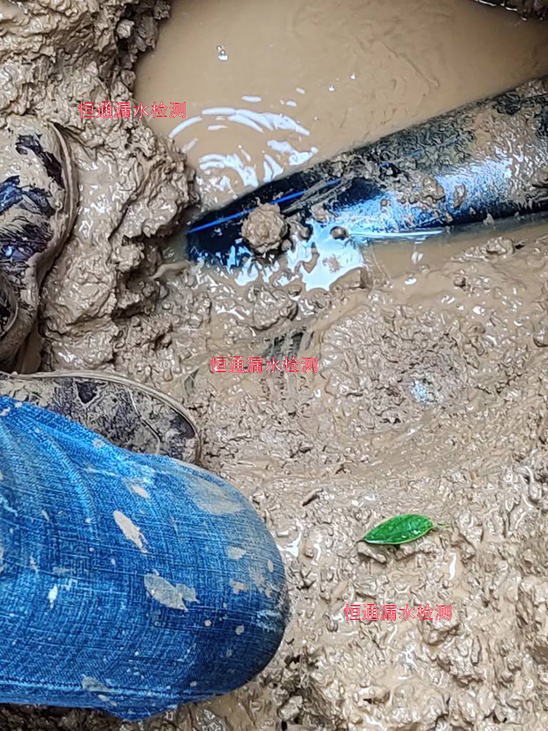 水管查漏，埋地管道漏点维修，深圳水管漏水检测