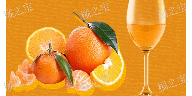 广西专业的橙子酒品质** 值得信赖 柳州市橘之宝保健食品科技供应