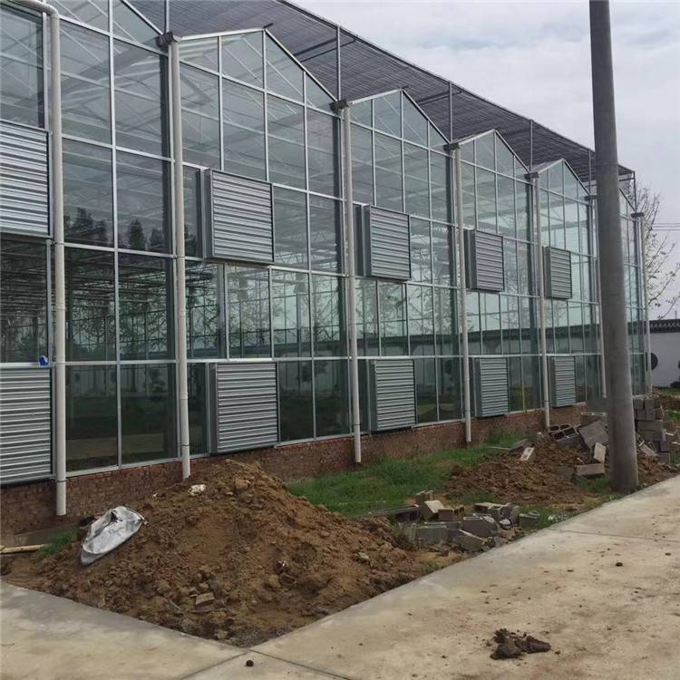 蔬菜大棚温室大棚玻璃温室 **的玻璃温室大棚 山东玻璃温室大棚建造
