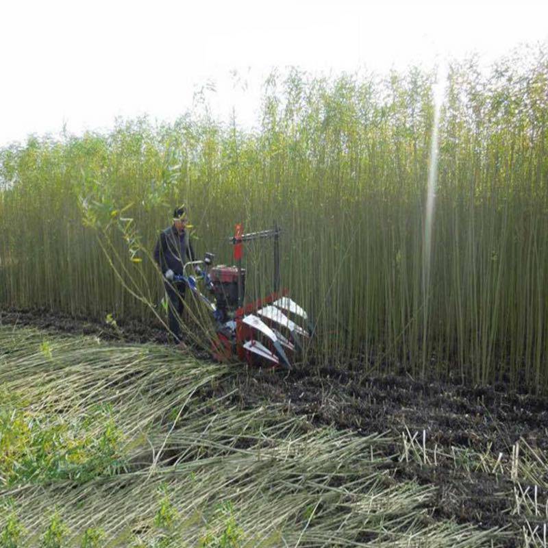 柴油黑麦草收割机 皇竹草收割机 巨菌草割晒机价格