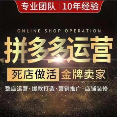 拼多多无货源大象软件