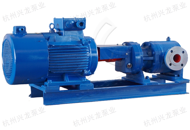 湖北高效双螺杆泵价位 杭州兴龙泵业供应