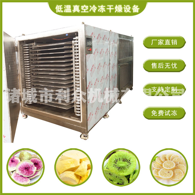 草莓冻干机水果蔬菜低温真空冷冻干燥设备厂家直供