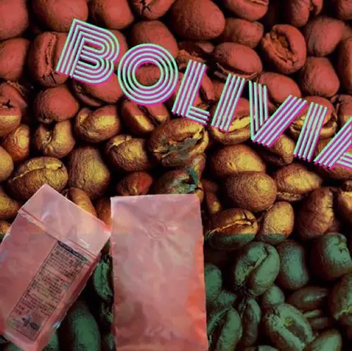 进口玻利维亚咖啡豆