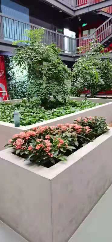 北京绿植花卉租赁与养护