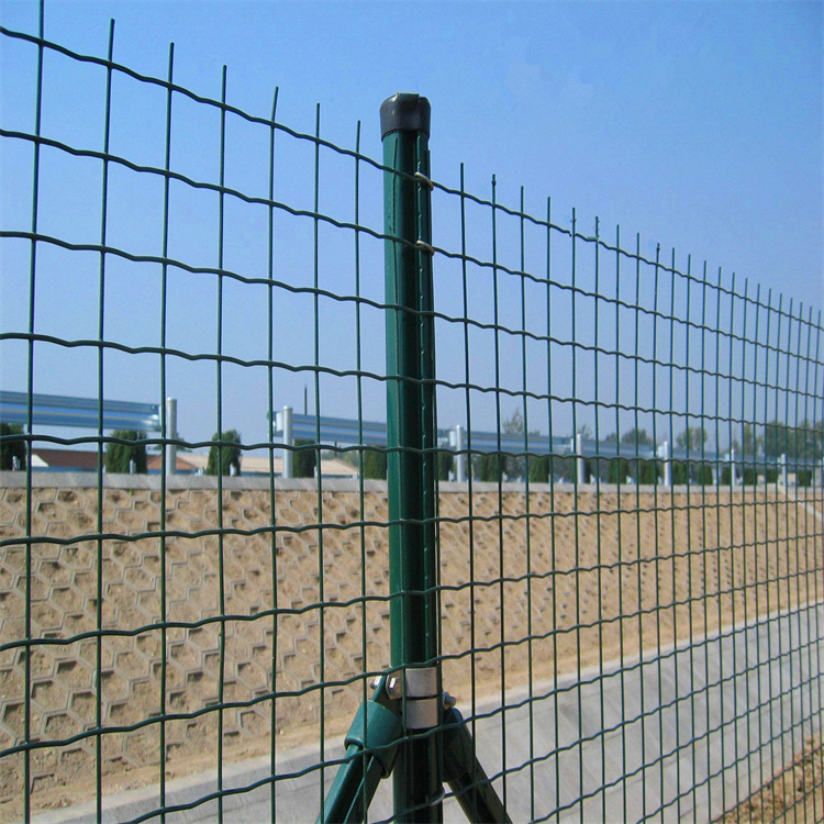 1.8米高绿色家禽圈网 可定制