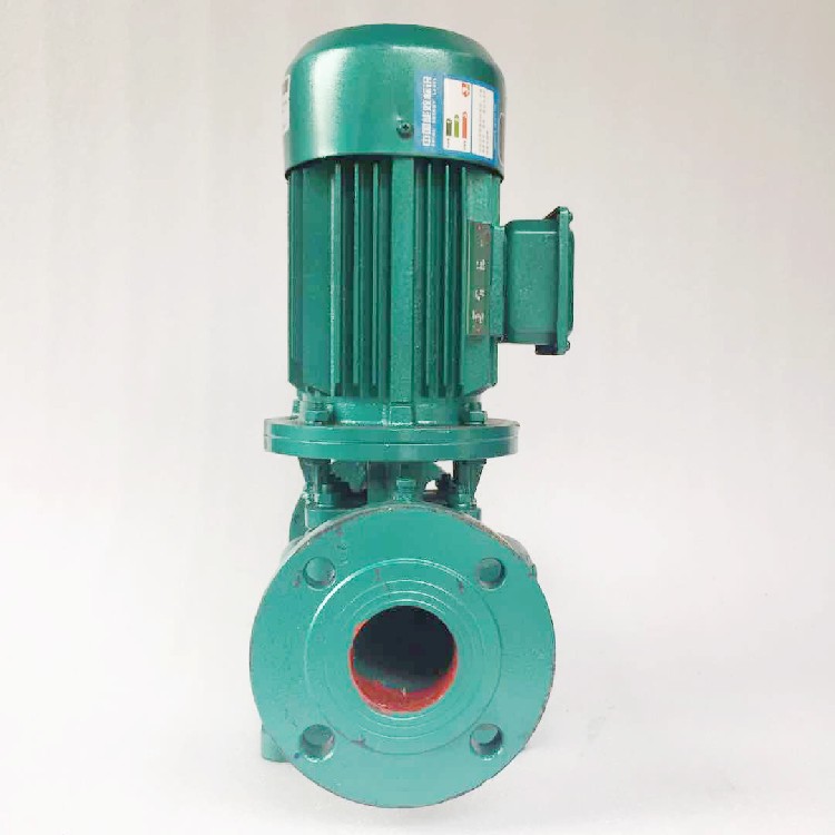 GD125-100A立式冷冻水循环泵厂家