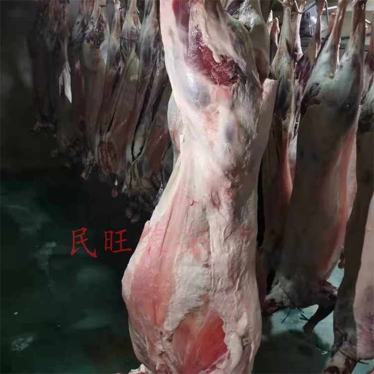 冻肉解冻机 进口牛羊分体解冻缓化设备 牛肉缓化库