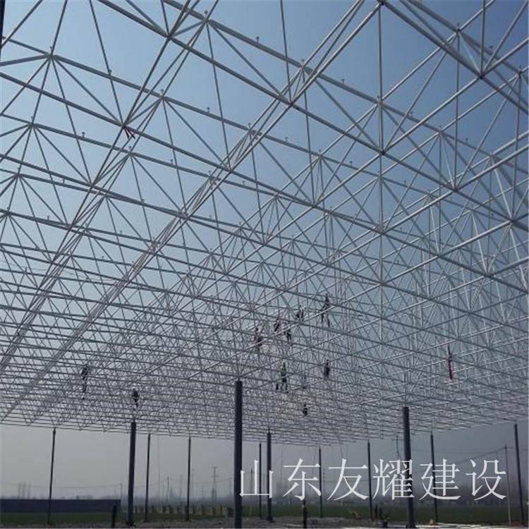 厂家直供可移动钢结构温室育苗花卉养殖苗大棚网架