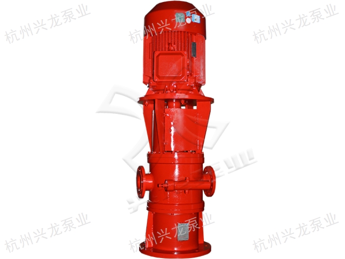 山西双螺杆泵哪个好 杭州兴龙泵业供应