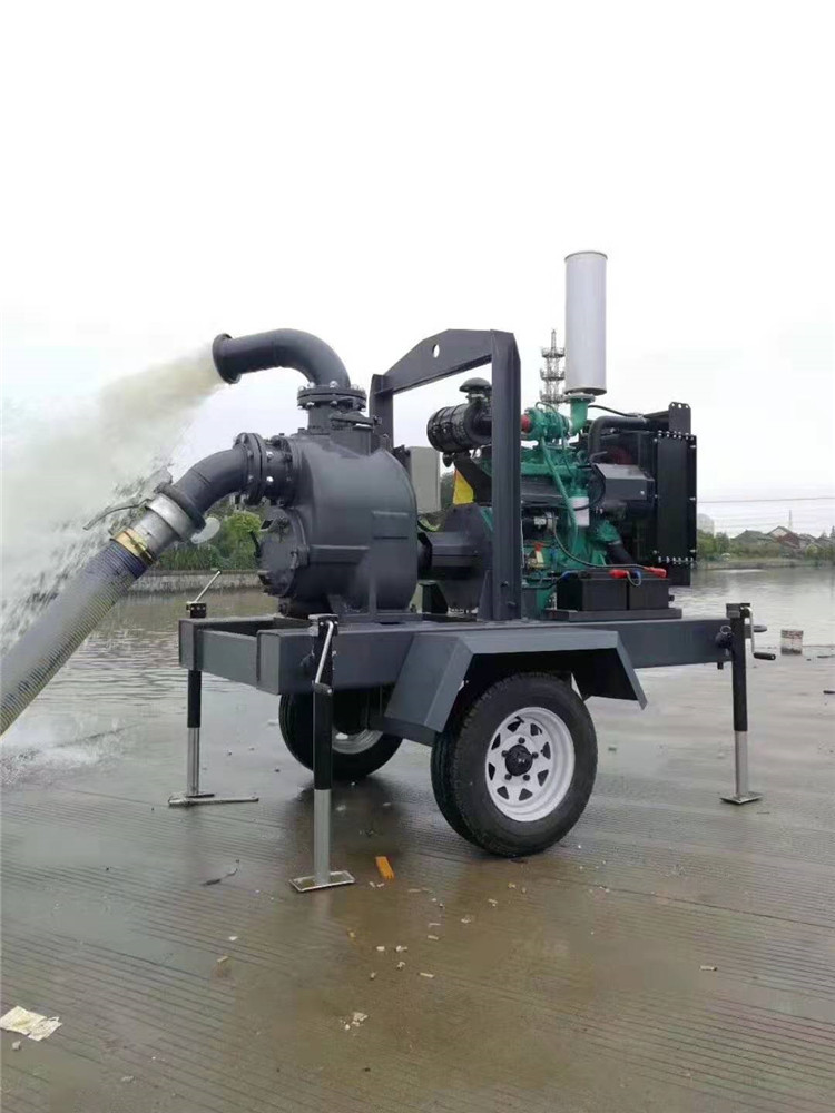 1500立方龙吸水水泵