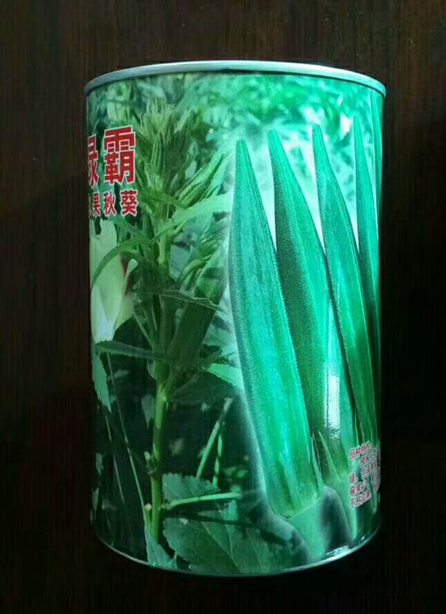 日本进口绿灞水果秋葵种子