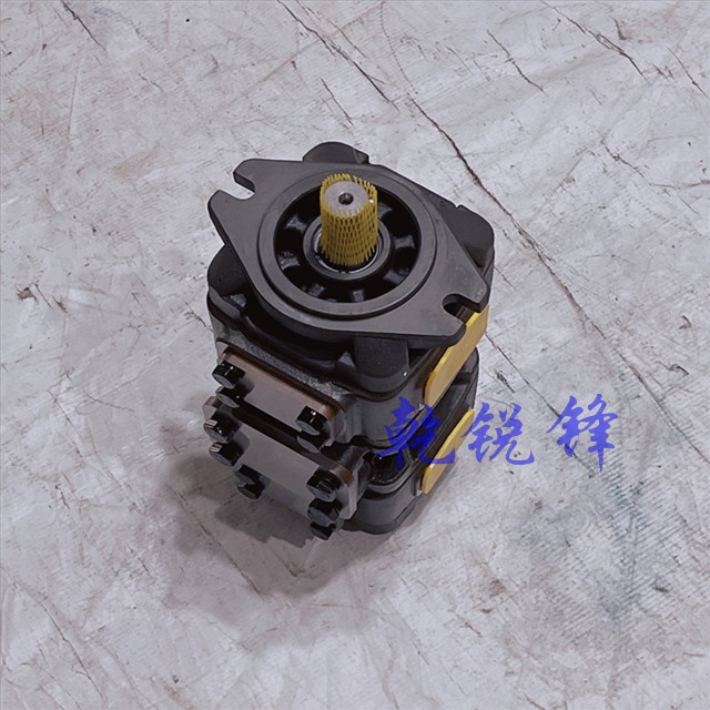 PV54-80-25-01R01FR,内啮合齿轮泵