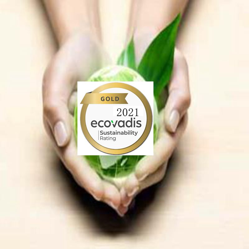 九江银牌46-61分EcoVadis认证咨询公司 上海赛学企业管理有限公司 可持续发展