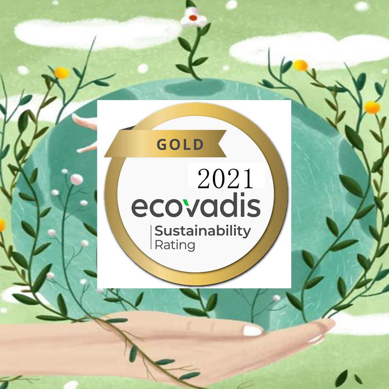 浙江银牌46-61分EcoVadis认证公司 社会责任体系咨询 ISO26000认证