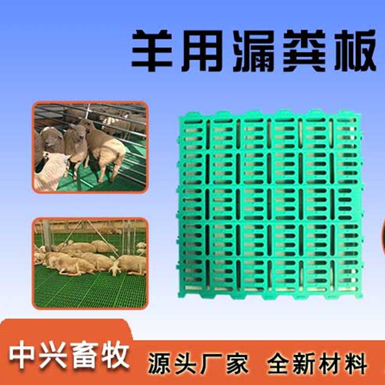 塑料羊漏粪板 羊圈塑料垫板 可拼接塑料羊床粪板生产厂家