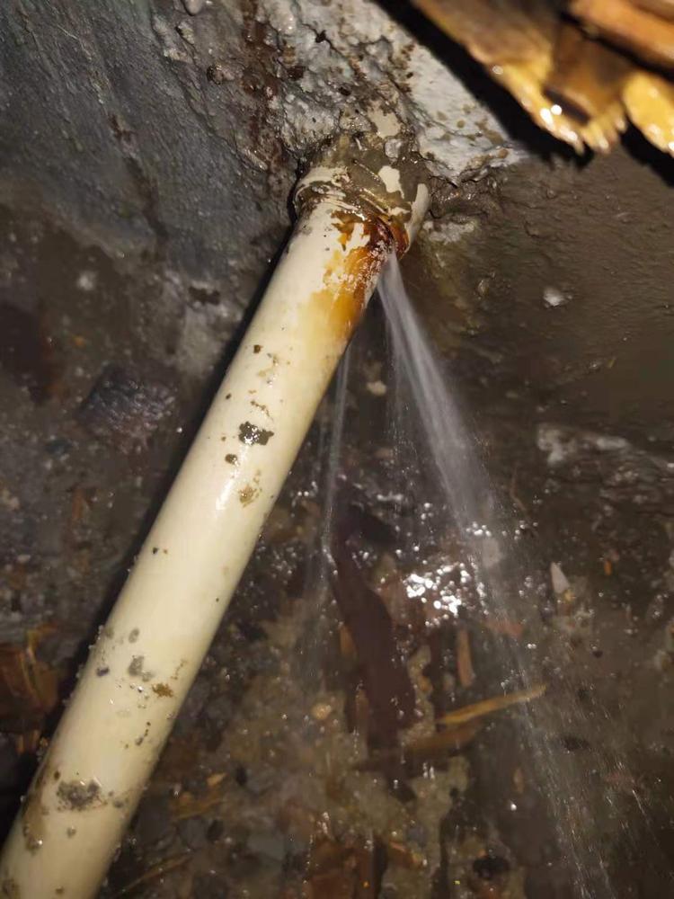清溪地下自来水管渗漏探漏 管道检测 测漏技术到位