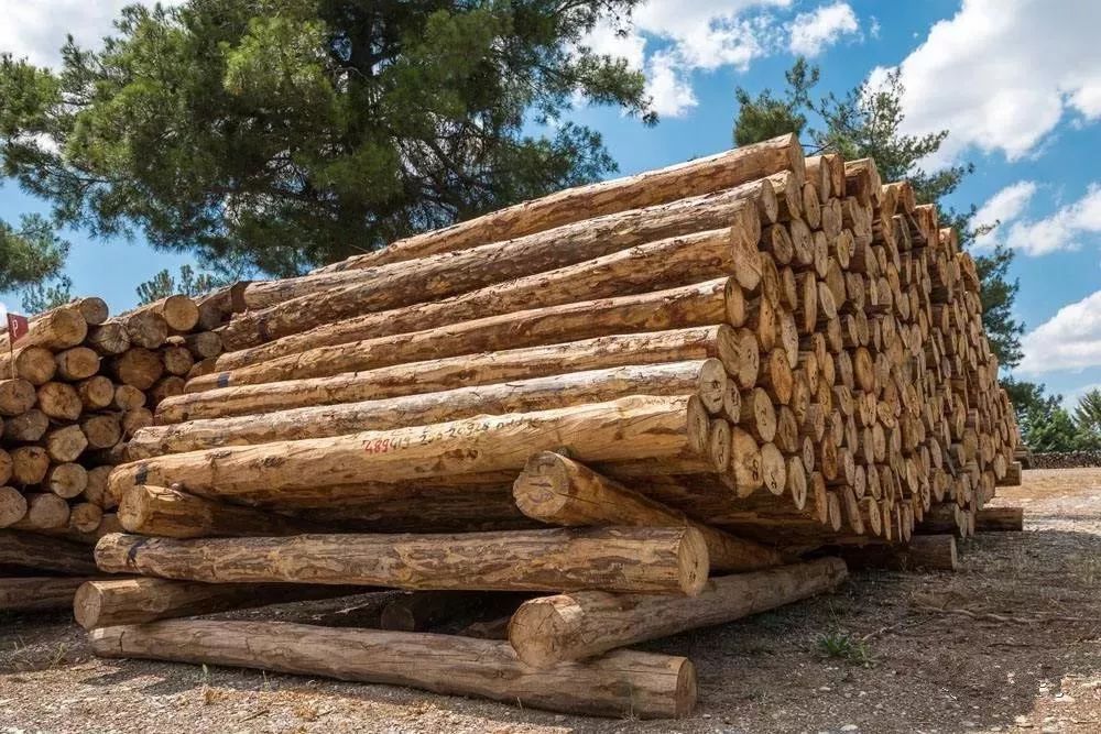 木材一般贸易进口需要什么单证