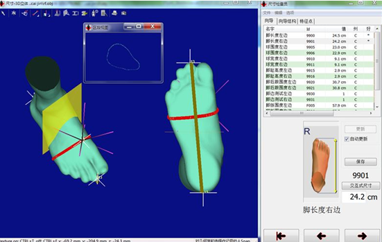 Anthroscan Foot3D 足部手部扫描