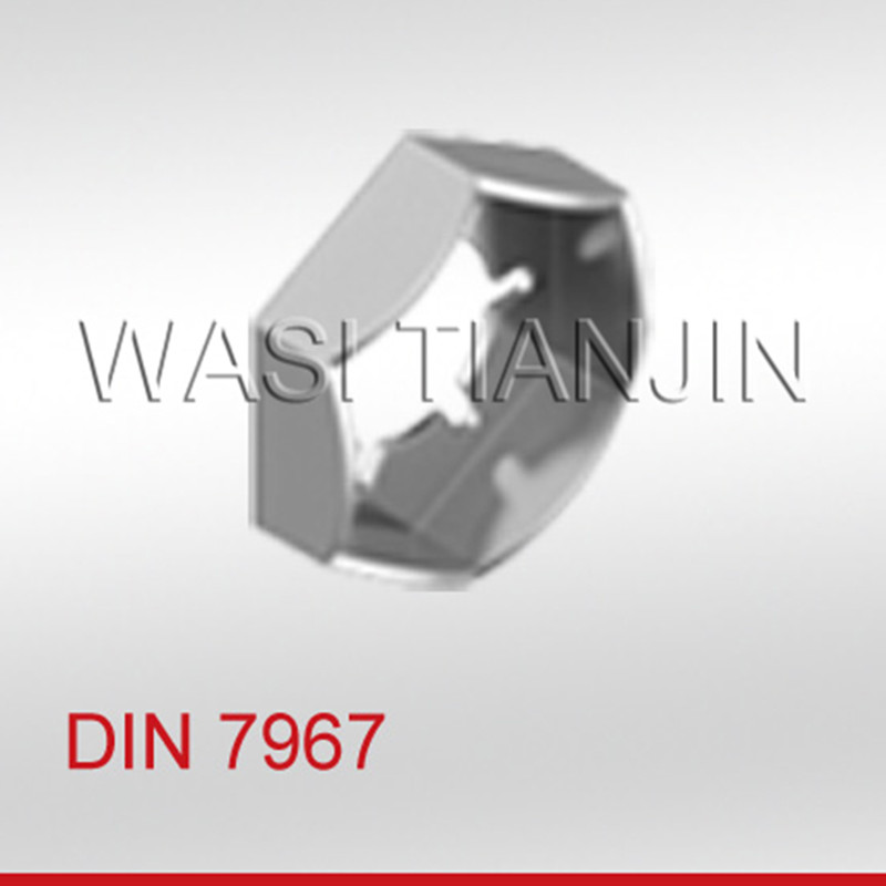 不锈钢DIN7967扣紧螺母