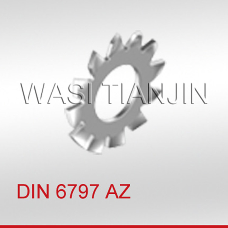 供应A2不锈钢内外齿形垫圈DIN6797
